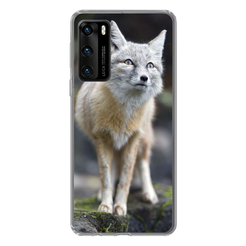 MuchoWow Handyhülle Schutzhülle Hülle für Huawei P40 Fuchs - Makro - Baum Silikon Softcase Handy Hülle - Handytasche