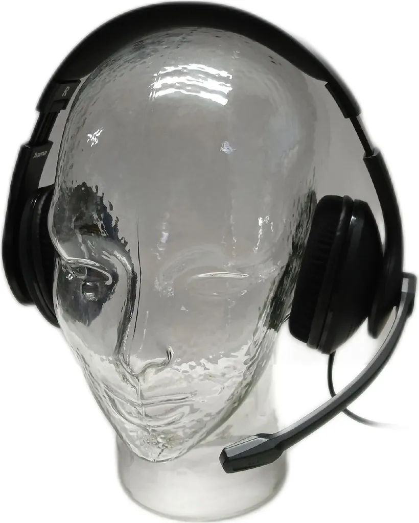 Casque idéal pour télétravail et visioconférence Hama HS-USB300 V2 USB noir - 8