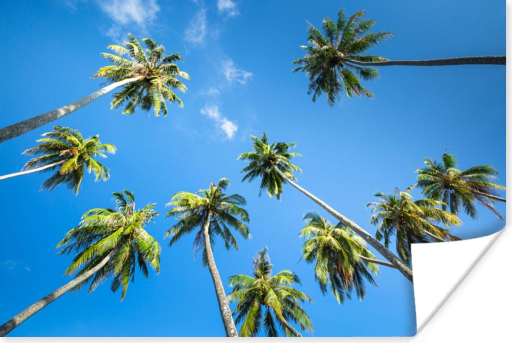 MuchoWow Poster Palmen von unten gegen einen blauen Himmel 180x120 cm - Fotoplakat