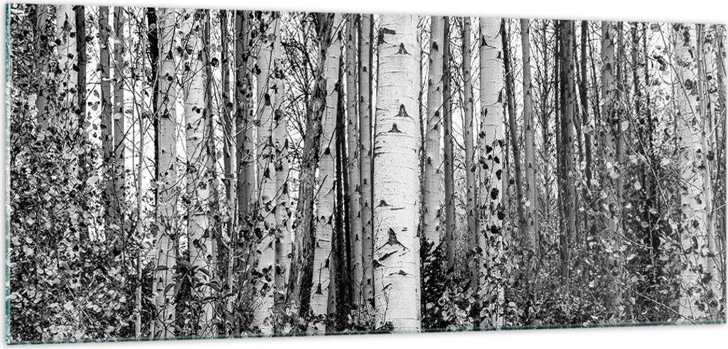 Bilder auf glas - Einteilig - Birken Wald Monochrom - 100x40cm - Glasbilder - Wandbilder - Bilder - zum Aufhängen bereit - Wanddekoration aus Glas...