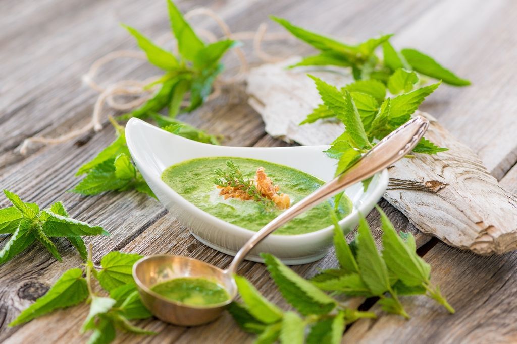 SAFLAX -- Žihľava - Urtica dioica - 2000 Semená Obrázok produktu 6