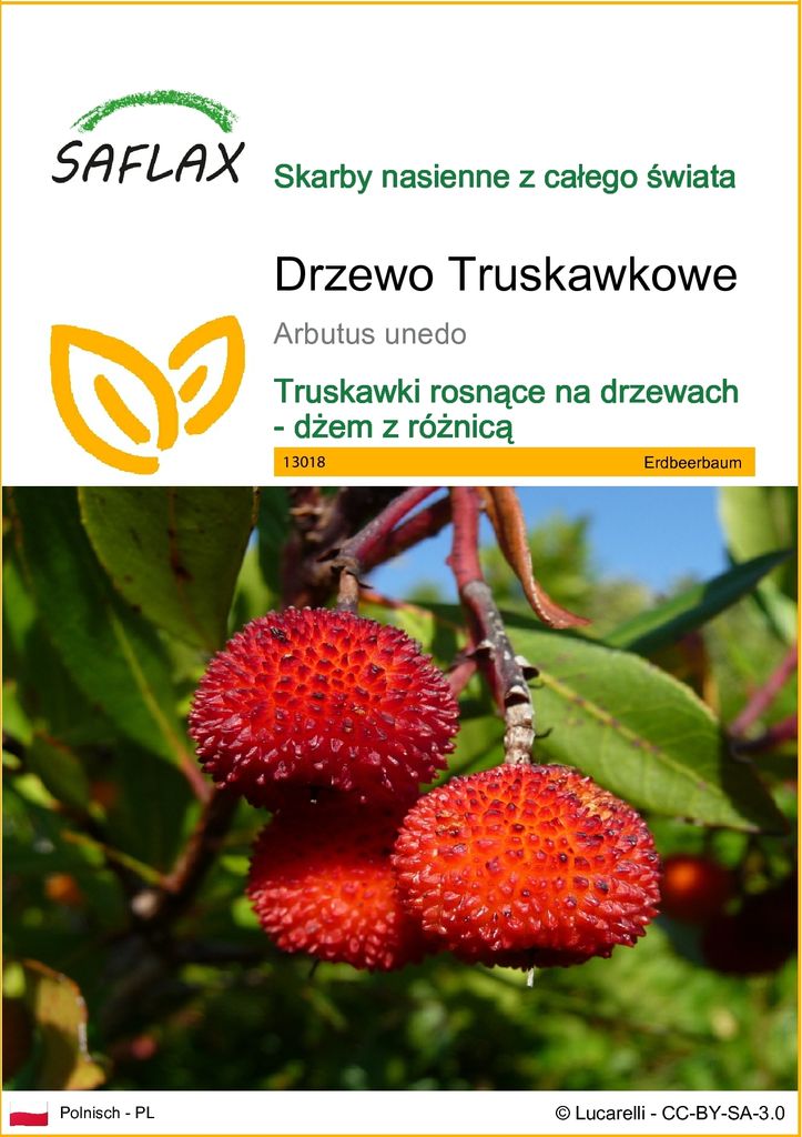 SAFLAX - Drzewo Truskawkowe - 50 Nasiona - Arbutus unedo Zdjęcie produktu 