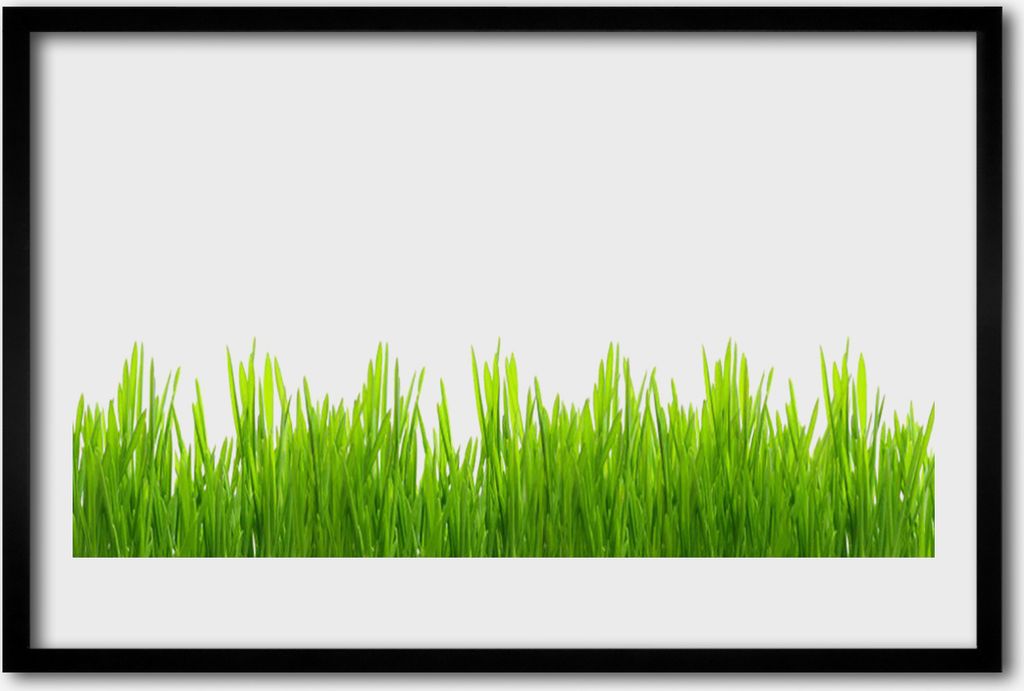 Bild 60x40 MDF-Rahmen Wandkunst Gras Natur Pflanze