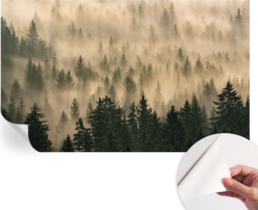 Selbstklebende Wandtapete - Dekorative Tapete für Wohnzimmer - Klebefolie für Wandbilder - Tapetenfolie für Wanddekoration - 416x254 - Waldnebel