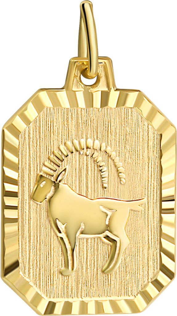 V Anhänger Sternzeichen Steinbock 333/- Gold 2,2cm gelb 203340121SB