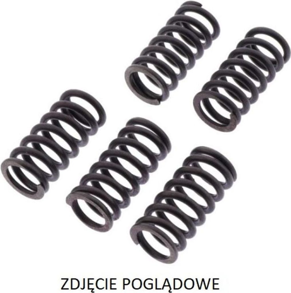 Zf Kupplungsfedern Für Yamaha Yz 250F '05-'07