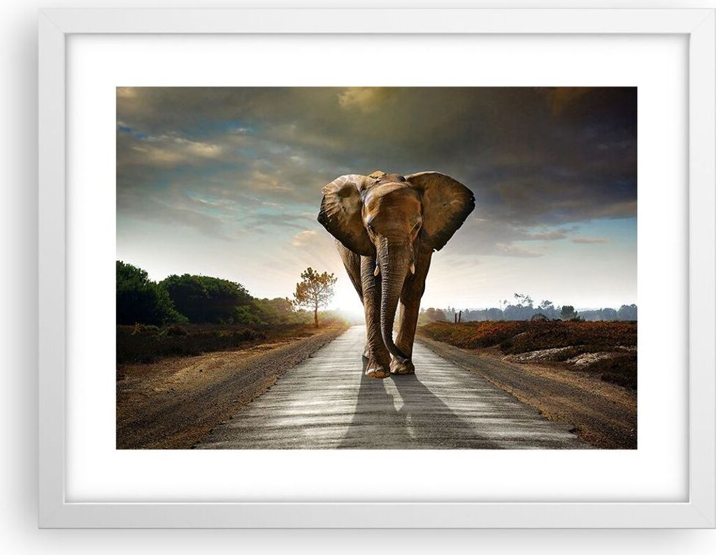 Gerahmtes Poster - Weißer Rahmen - Elefant Straße Landschaft - 40x30 cm - Wand Bild - Wanddeko - Wandbilder - Kunstposter - Wandposter - Bilderra...