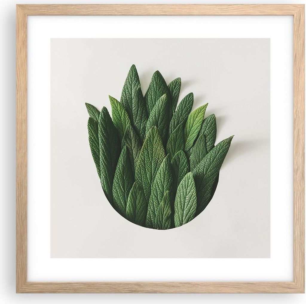 Gerahmtes Poster - Rahmen in heller Eiche - Salbei Medizin Blätter - 40x40 cm - Wand Bild - Wanddeko - Wandbilder - Kunstposter - Wandposter - Bil...