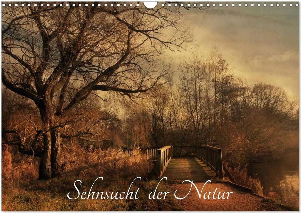 Sehnsucht der Natur (Wandkalender 2026 DIN A3 quer), CALVENDO Monatskalender