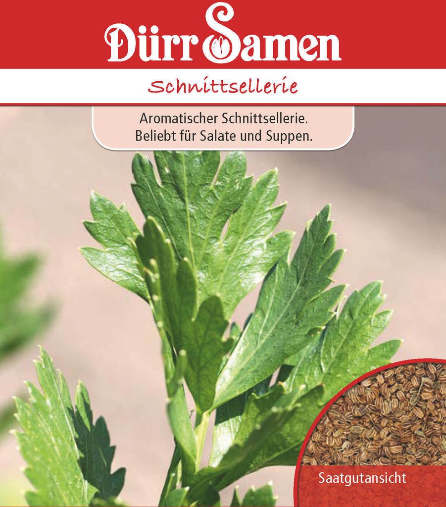 Dürr-Samen - Schnittsellerie - Saatgut - 0195