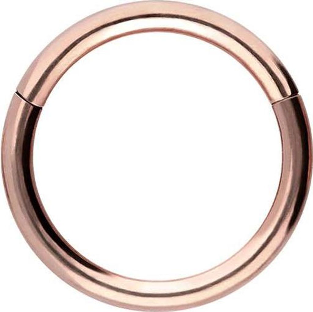 Ohrpiercing, Nasenpiercing, Septum Piercing Chirurgenstahl Segmentring Clicker RoséGold Innendurchmesser: 8mm + Stabstärke: 1,2mm