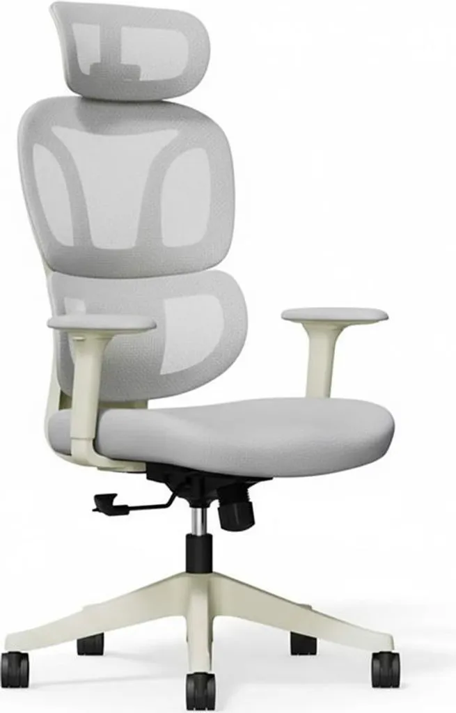 Fauteuil de bureau ergonomique BS5WG-PRO gris pour ordinateur et PC