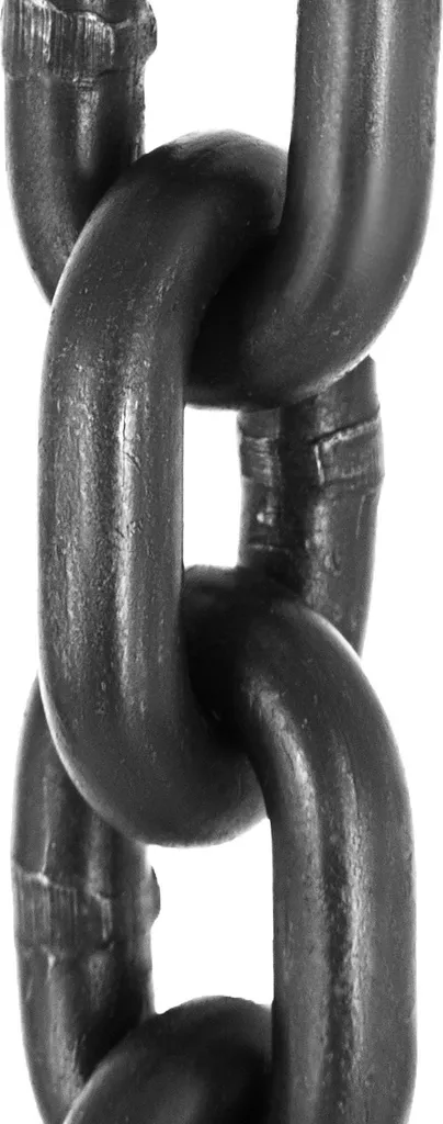 Imbragatura Catena SucceBuy 5 Ton 3/8'' | Acciaio G80 per Motori