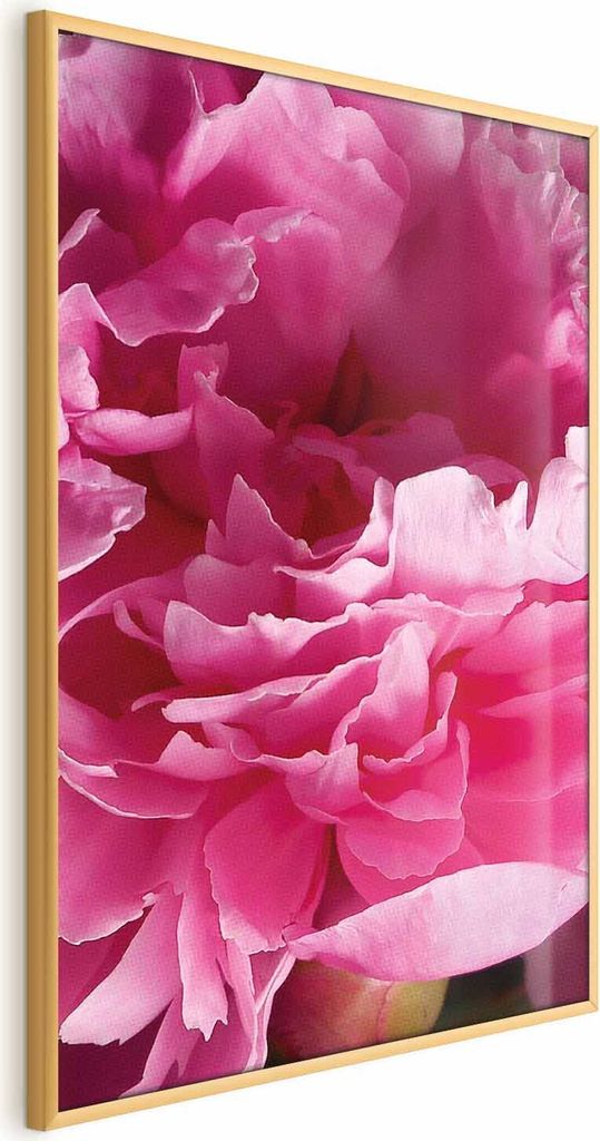 Posterpapier Poster - Beautiful Peonies 21x30 cm Blumen b-C-0400-ao-a