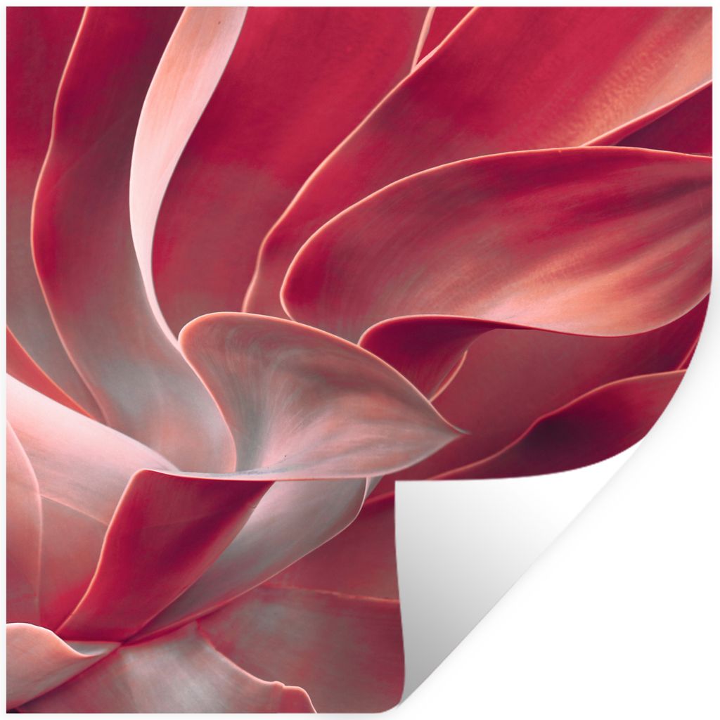 MuchoWow Wandtattoo Wandsticker Wandaufkleber Stilleben - Blätter - Pflanze - Rosa 80x80 cm Selbstklebend und Repositionierbar - Wierderverwendb...