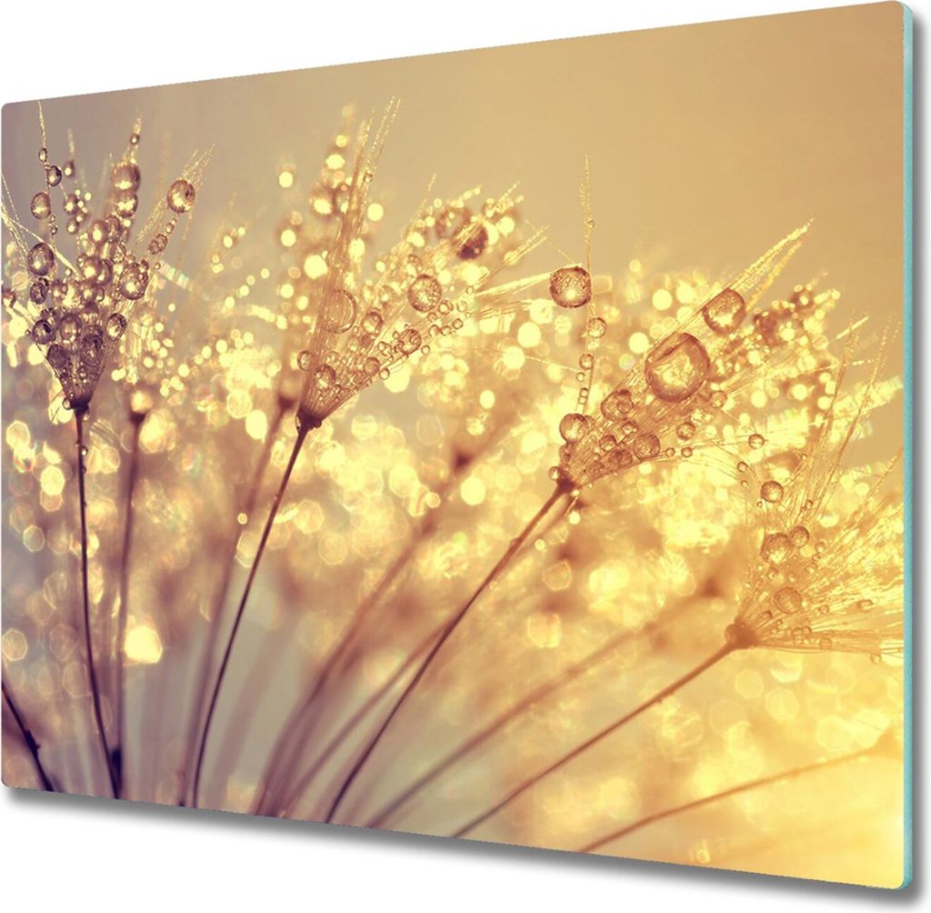 Glas Herdabdeckplatte 60x52 cm Spritzschutz Glasabdeckplatte Schneidebrett Pusteblume Samen