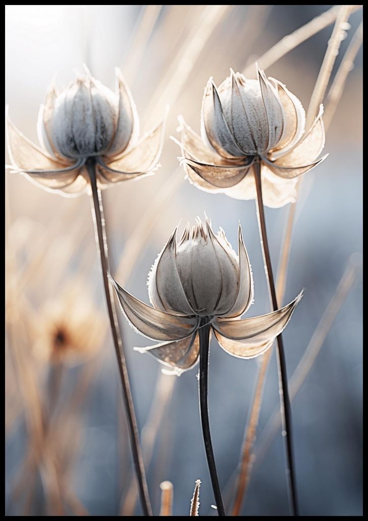 Plakat 70x100cm Poetischer Herbst