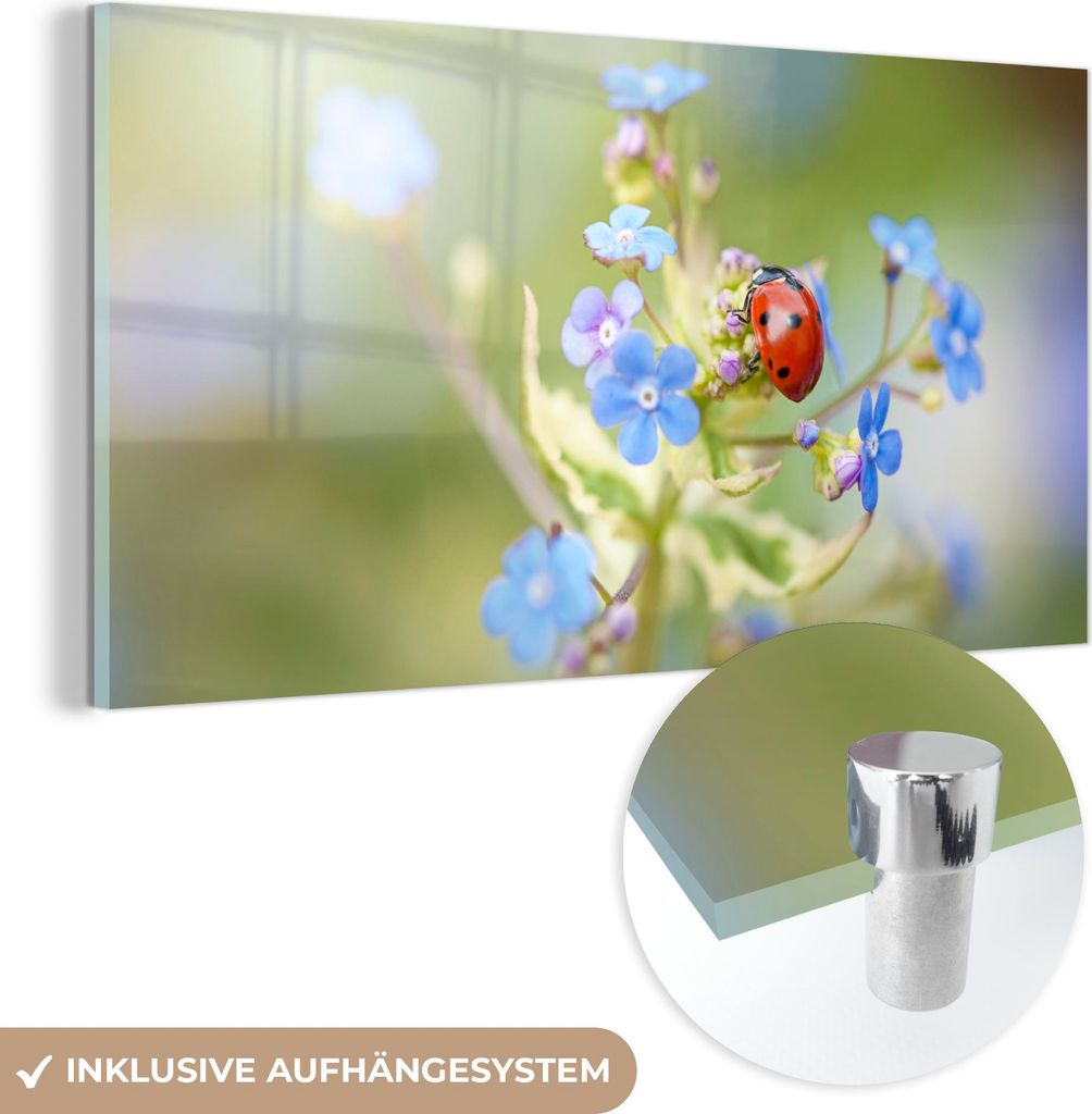 MuchoWow Glasbilder - Bilder auf Wandbild - Foto auf Glas Marienkäfer - Blume - Frühling 40x20 cm Wanddekoration aus Glas - Acrylglasbild - Acryl...