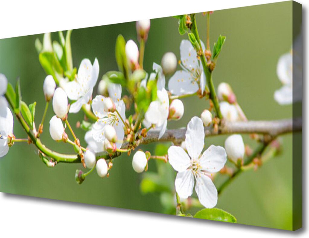 Tulup Leinwand-Bilder 100x50 Wandbild Canvas Kunstdruck Zweige Blumen Pflanzen