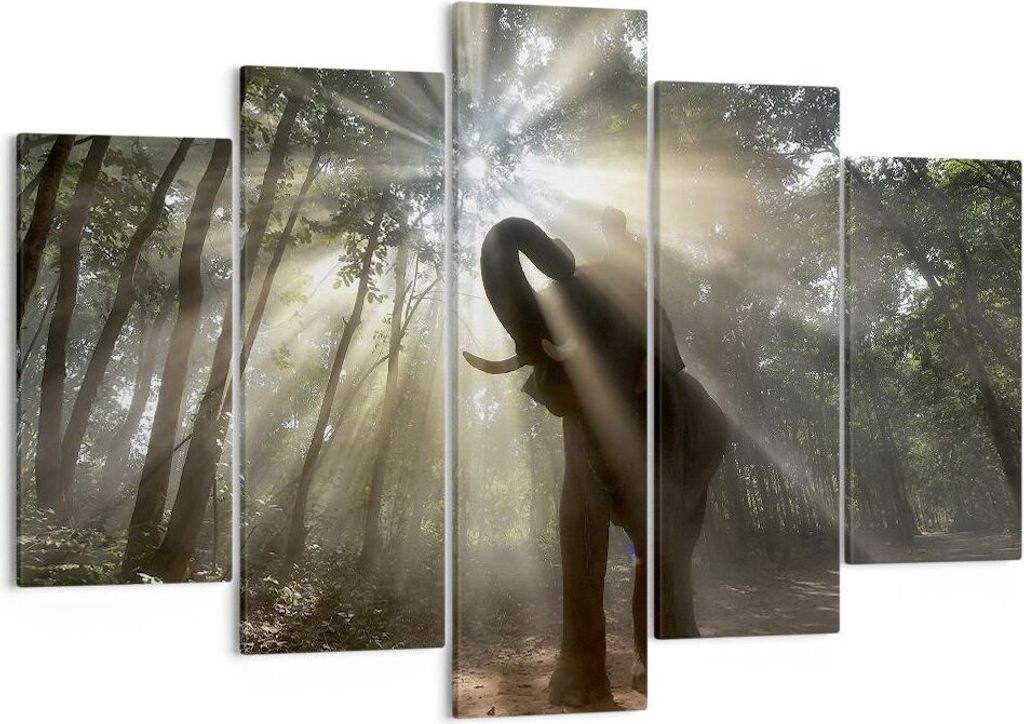 Bild auf Leinwand - Leinwandbild - Elefant Dschungel - 150x100cm - Wand Bild - Wanddeko - Leinwanddruck - Bilder - Kunstdruck - Wanddekoration - Le...