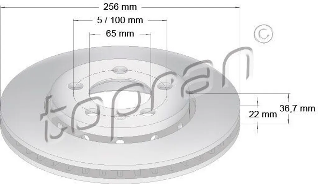 Disque de frein plein essieu arrière pour Seat Leon et Toledo 1M