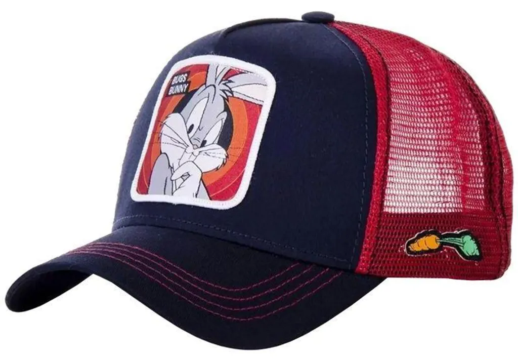 Casquette de baseball Looney Tunes pour le soleil et les loisirs de plein air