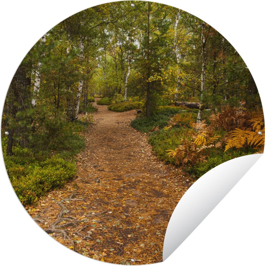 MuchoWow Gartenposter Outdoor-Poster Rund Wald - Weg - Herbst - Laub Ø 150 cm Gartendeko Rundes Poster draußen