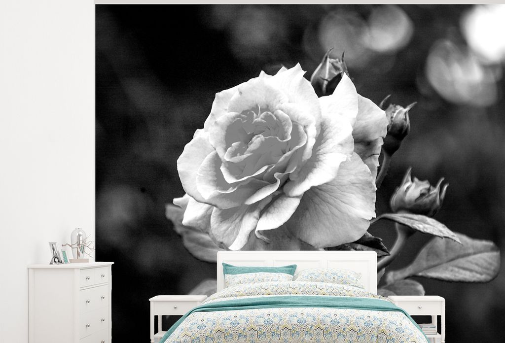 MuchoWow Fototapete für Wohnzimmer oder Schlafzimmer Wandtapete Vinyl Motivtapete Nahaufnahme einer rosa Rose in einem Rosengarten - schwarz und...