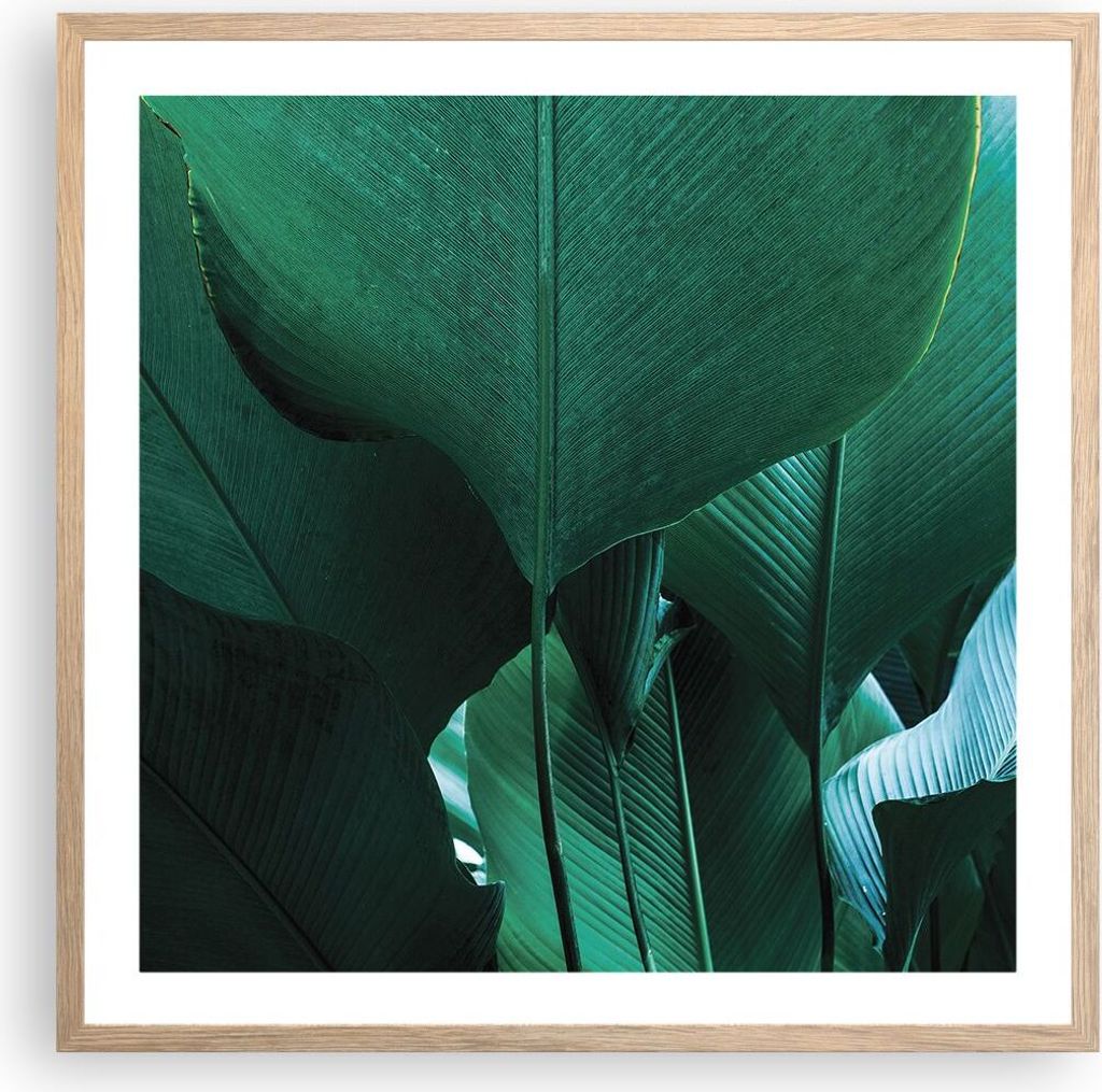 Gerahmtes Poster - Rahmen in heller Eiche - Blätter Palmen Banane - 60x60 cm - Wand Bild - Wanddeko - Wandbilder - Kunstposter - Wandposter - Bild...