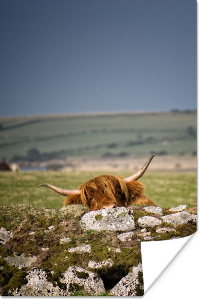 MuchoWow Poster Schottische Highlander - Steine - Gras 40x60 cm - Plakate für die Wand - Poster Babyzimmer