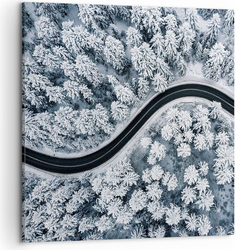 Bild auf Leinwand - Leinwandbild - Einteilig - Wald Winter Straße - 50x50cm - Wand Bild - Wanddeko - Wandbilder - Leinwanddruck - Bilder - Wanddek...