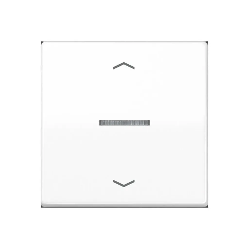 Bouton JUNG HOME BTAS17101PWW : remplacez vos interrupteurs sans fil