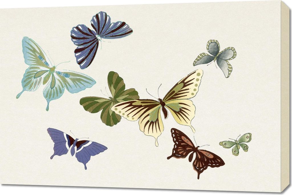 Bild 90x60cm Schmetterling 10, Japanisches Vintage Sekka für das Wohnzimmer