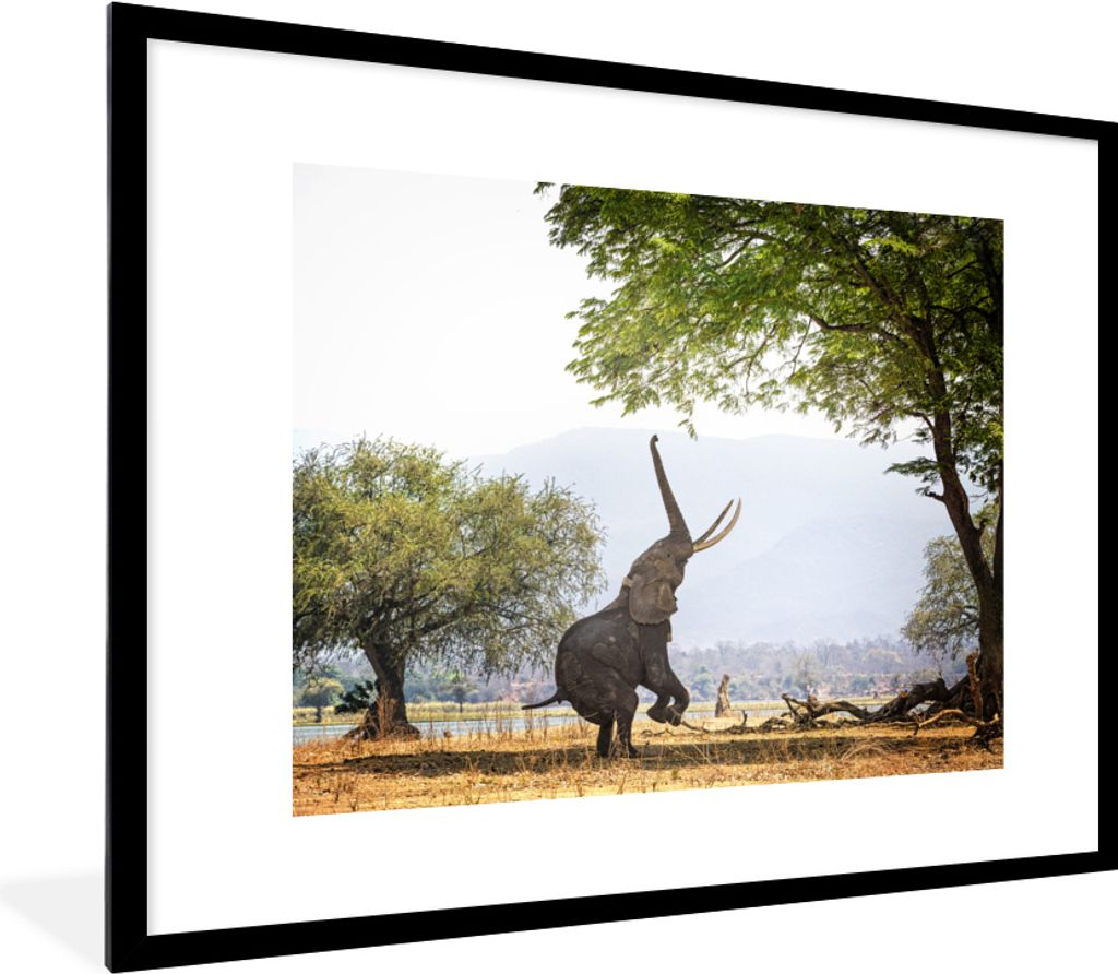 MuchoWow MuchoWow Gerahmtes Poster Elefant - Baum - Blätter 80x60 cm - Poster mit zchwarzem Bilderrahmen - Schlafzimmer-Dekorationen - Fotoposter