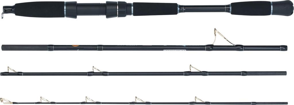 WFT Steckrute Seadart Special Fjord Länge 2,10m, Wurfgewicht 30-200g