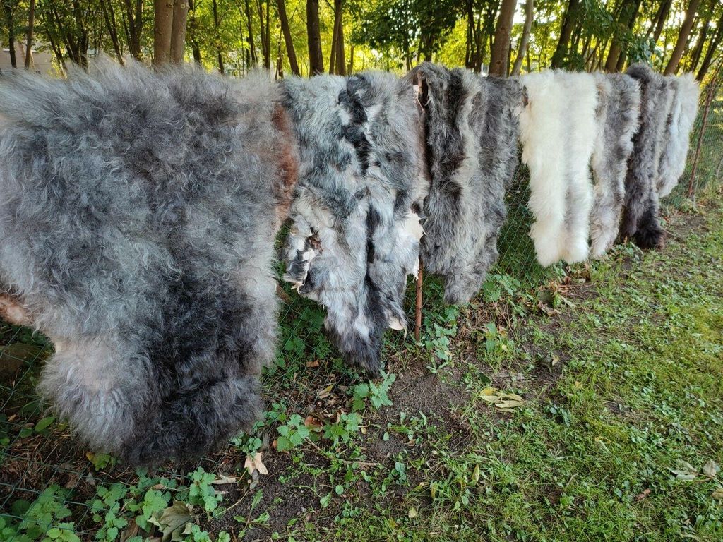 Nordschnucken Schaffell – Naturgrau, 2. Wahl, echtes Fell, eher lang (5cm -15cm) 40x40cm eckig