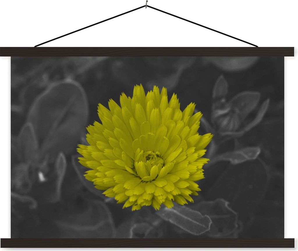 MuchoWow Textilposter Blumen - Aquarell - Löwenzahn 60x40 cm mit schwarzem Rahmen - Hölzernes