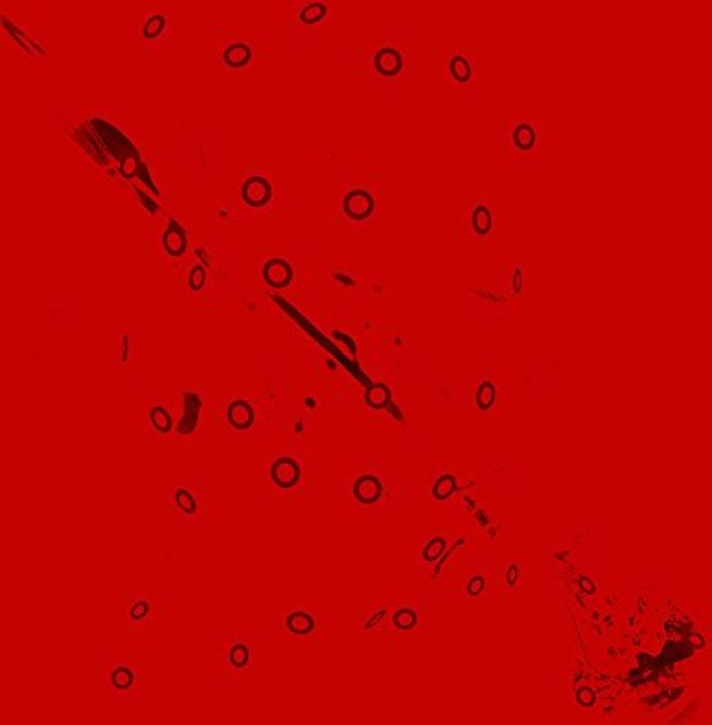 Lybes Dimem - Lp-Lybes Dimem-Syncleft Chronem -Lp Vinyl
