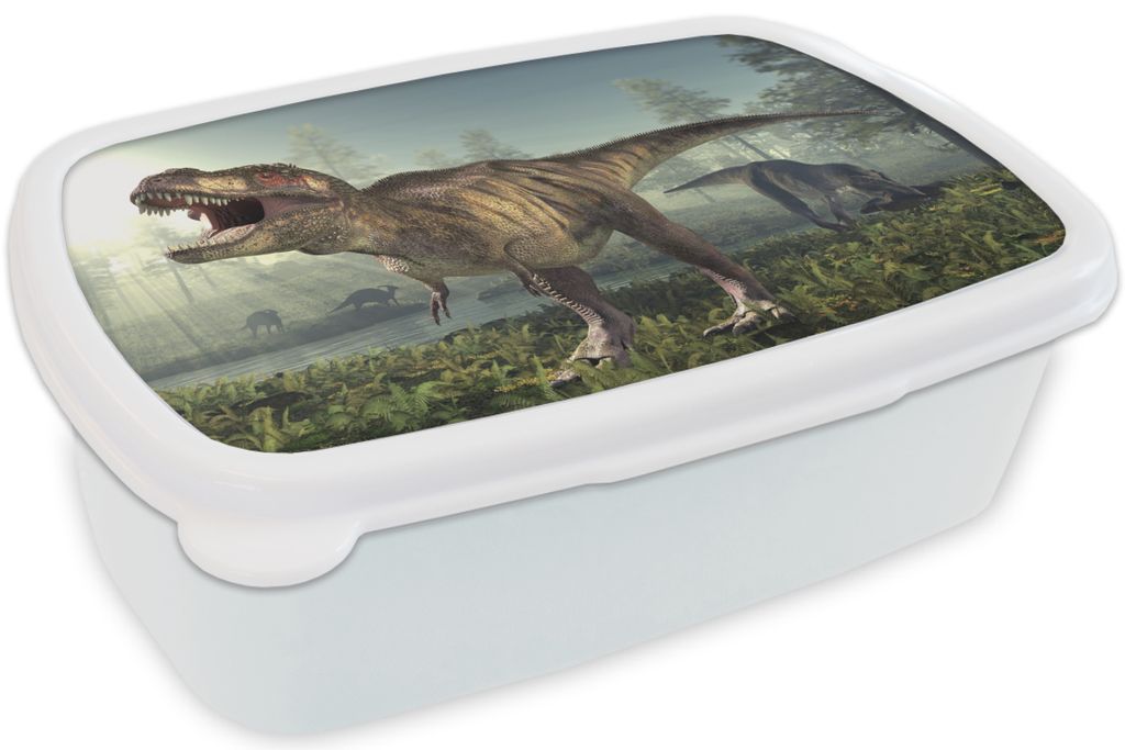 KitchenYeah Lunchbox Brotzeit Brotdose 17x11 cm Dino - Gras - Zeichnung - Kinder - Jungen Kinder Brotzeitdose - Lunch Box - Kinder - Sandwich-Box...