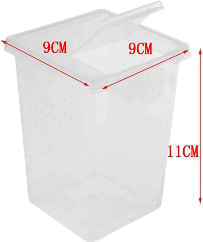 Boîte à insectes transparente avec aération optimisée Terrario 1.1L