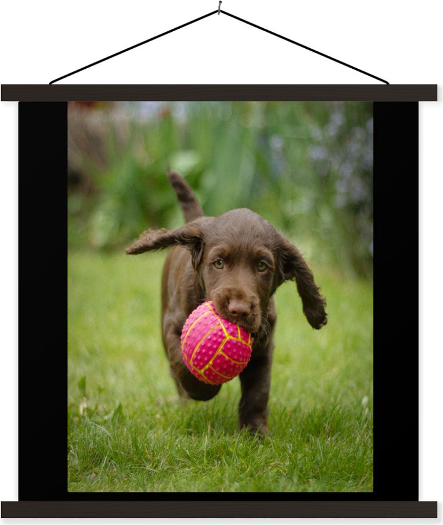 MuchoWow Textilposter Ein braunes Hündchen mit einem rosa Ball 120x160 cm mit schwarzem Rahmen - Magnetischer