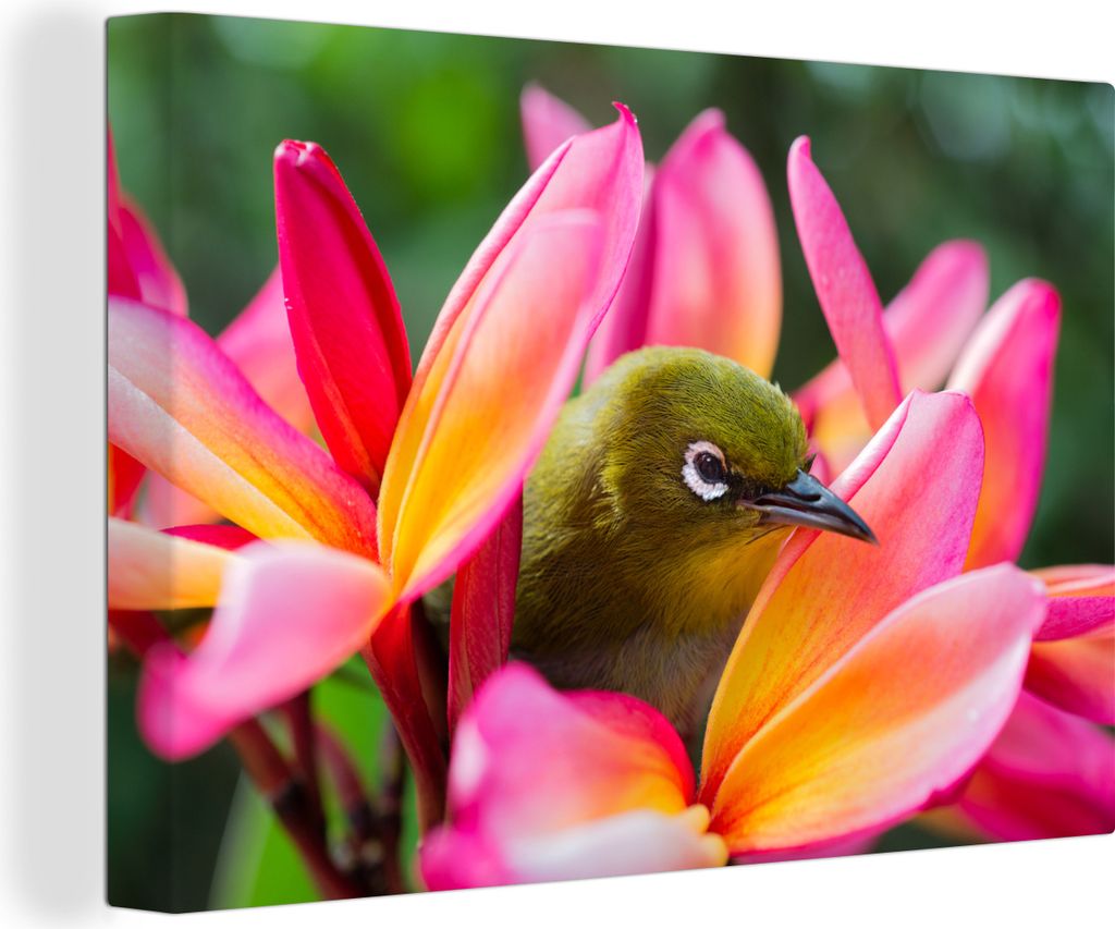 OneMillionCanvasses - Leinwandbilder - 150x100 cm, Tropischer Vogel zwischen rosa Blume, Wandbilder Kunstdruck Wanddekoration