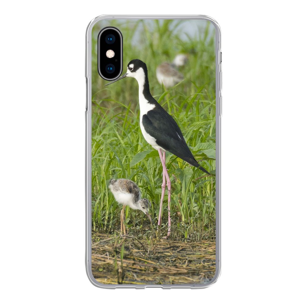 MuchoWow Handyhülle Schutzhülle Hülle für iPhone X Vogel - Gras - Küken - Sumpf Silikon Softcase Handy Hülle - Handyhülle