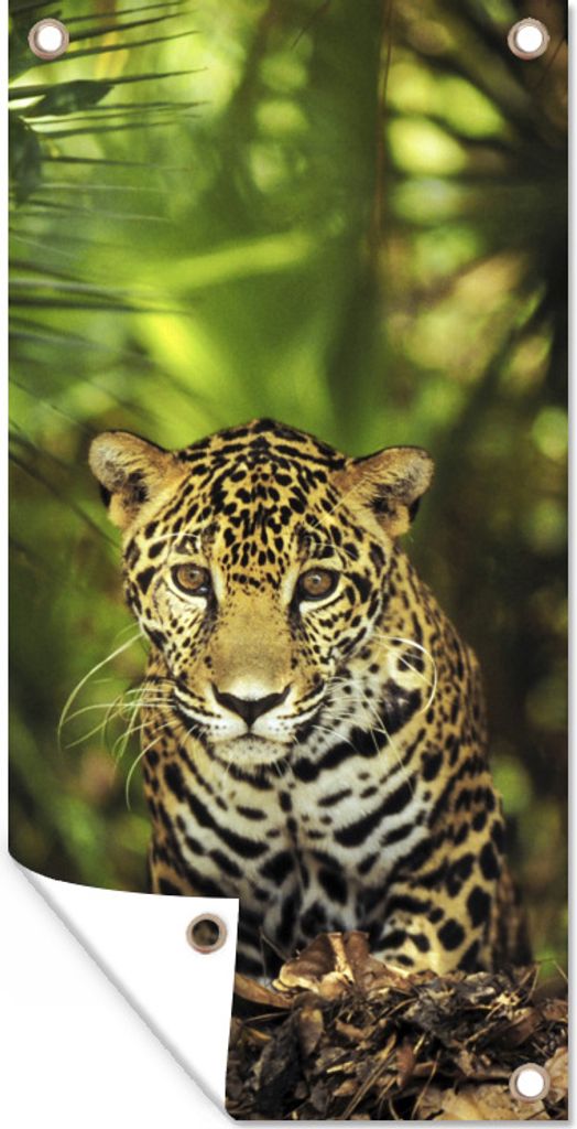 MuchoWow 40x80 cm Outdoor-Poster Gartendeko Sichtschutz Garten Poster für den Garten Junger Jaguar im Dschungel