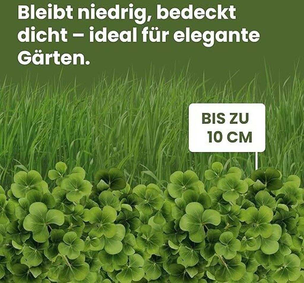 LERAVA® Klee samen [mähfrei] 125m² - Mikroklee Samen für Produktbild 7