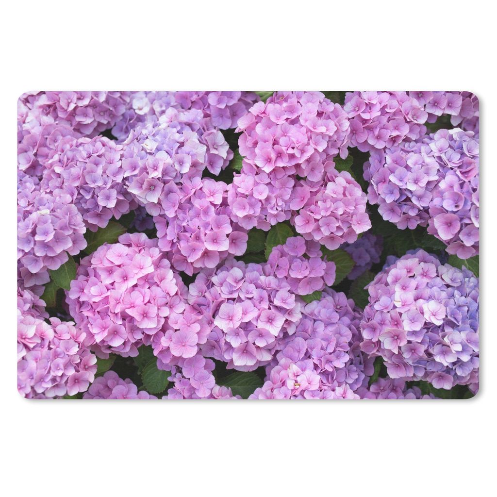 MuchoWow Mauspad Mousepad Blumen - Hortensie - Strauch - Rosa - Blütenblätter 27x18 cm - Mousepads - Maus Mat - Pad - Mausunterlage - Büroarti...