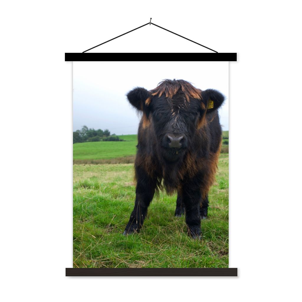 MuchoWow Textilposter Schottische Highlander - Kühe - Natur - Grün - Gras 120x160 cm mit schwarzem Rahmen - Magnetischer