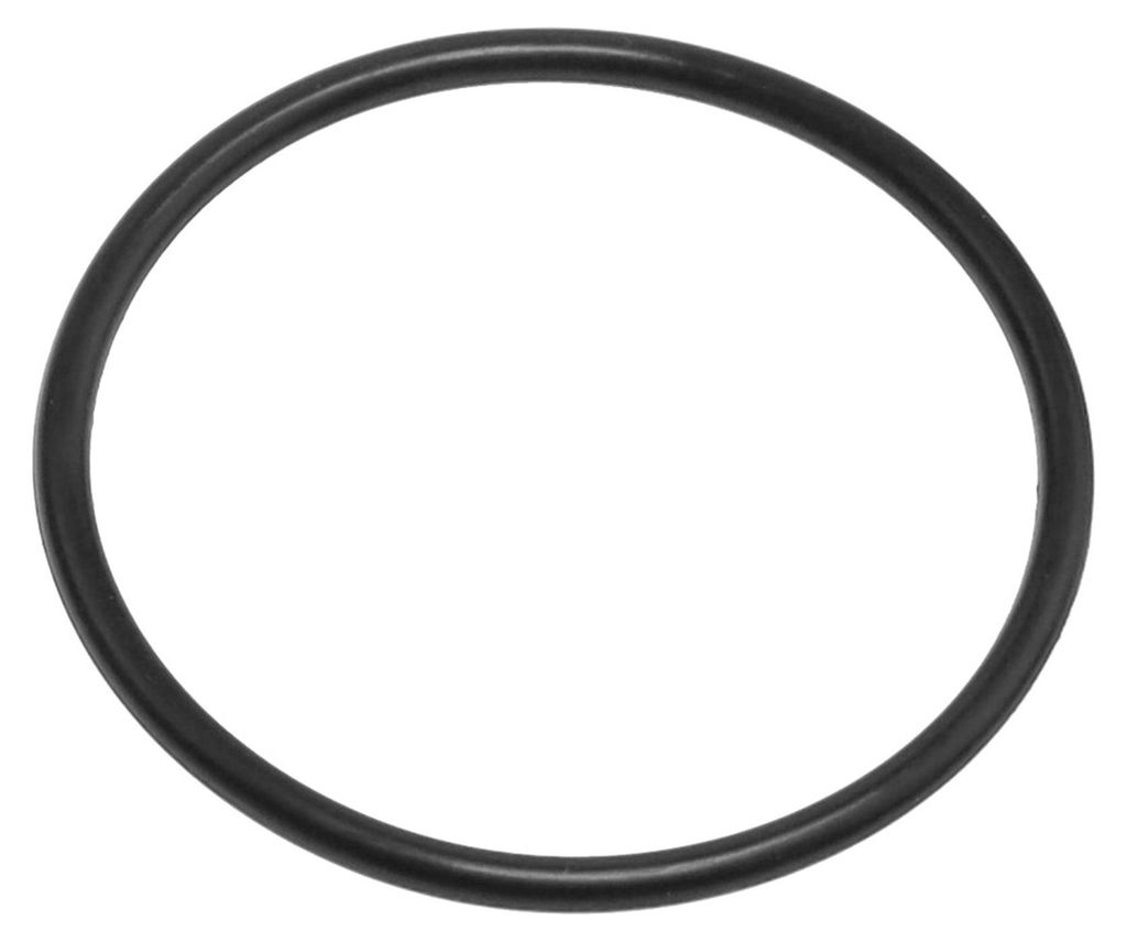 Thomas 109166 Dichtung für Aquafilterboxen Wassertank Produktbild 