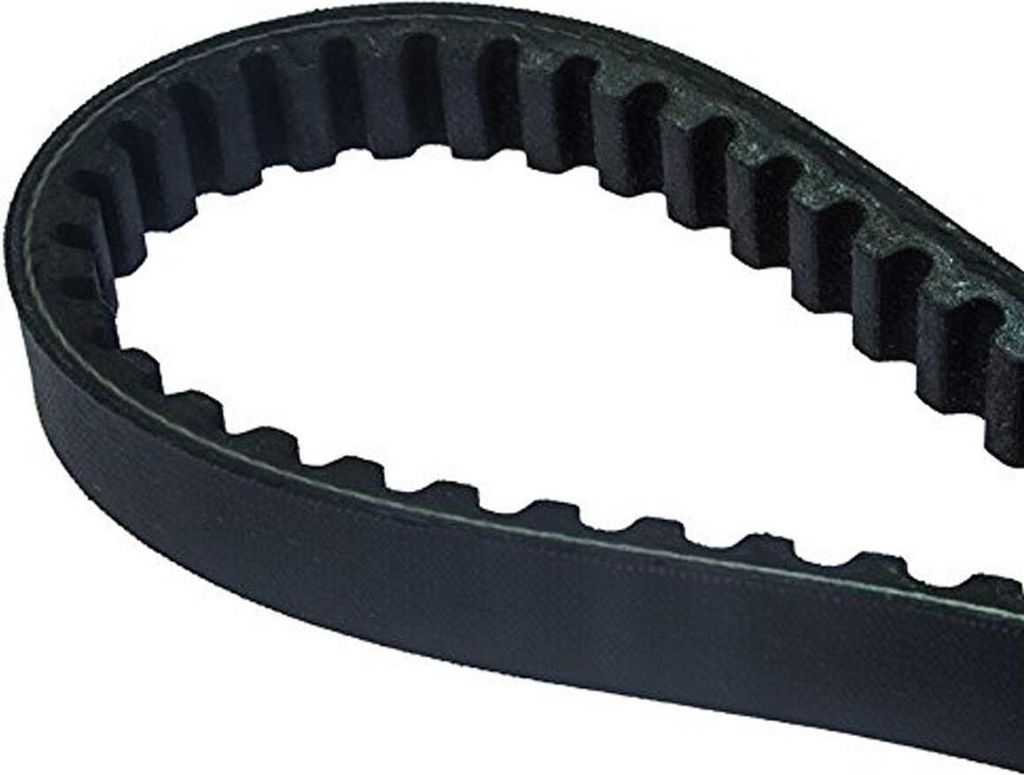 Dayco Keilriemen Polyamid horizontal vertikal lang Kurbelgehäuse 16,5x747 mm