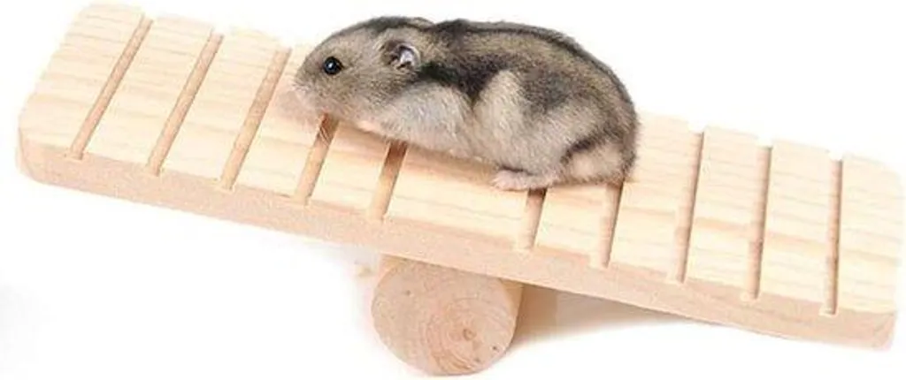 Accessoire de cage pour hamster pour stimuler l'activité et le jeu actif
